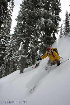 Telemark Ski Action